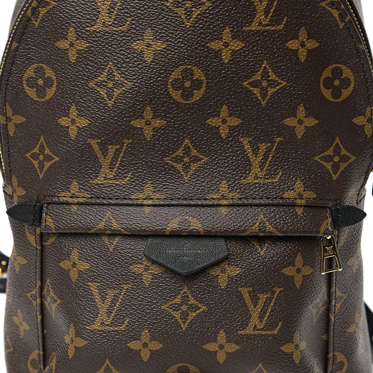 Monogram Palm Springs Backpack PM