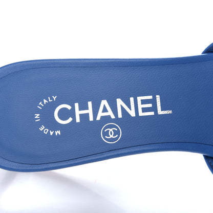 Chanel Lambskin PVC Logo Mule 37 Transparent Blue 8 of 10