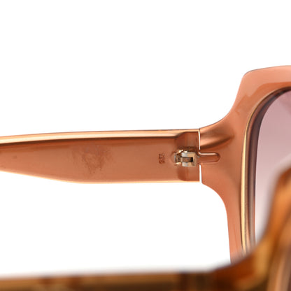 Christian Dior Glossy 1 Sunglasses Brown 5 of 8