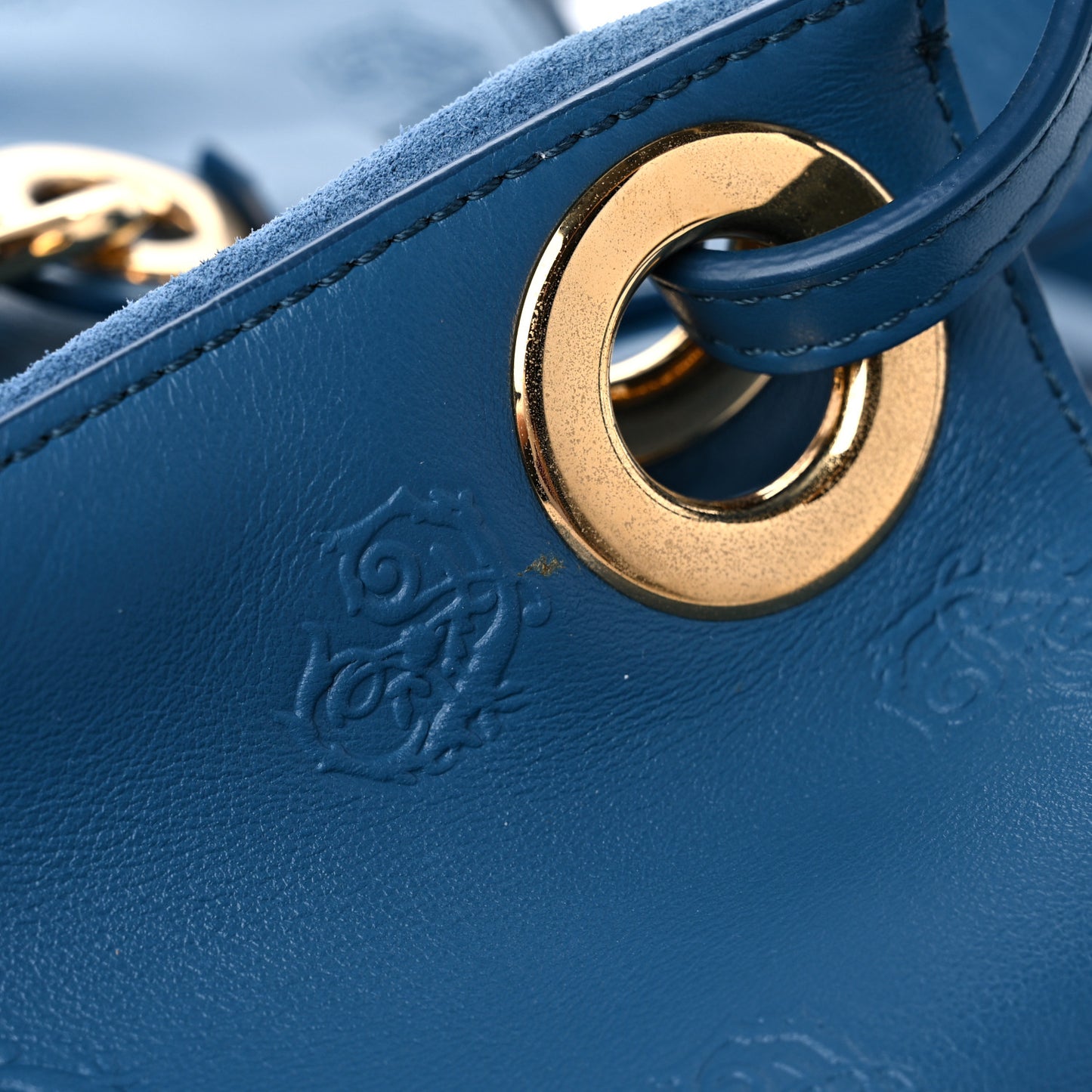 Smooth Calfskin Rose Embroidered Tao Zipped Tote Blue