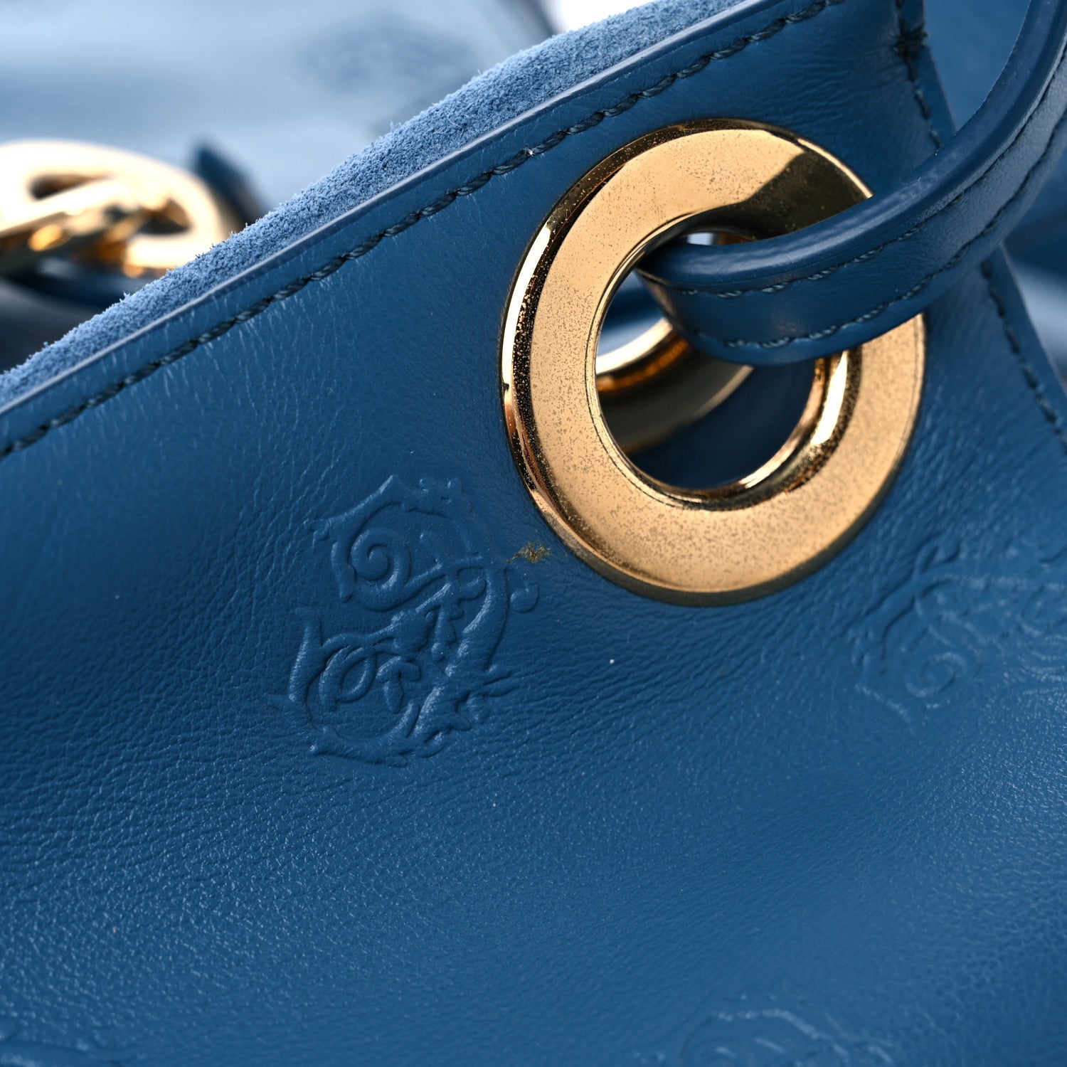 Chloe Smooth Calfskin Rose Embroidered Tao Zipped Tote Blue 13 of 15