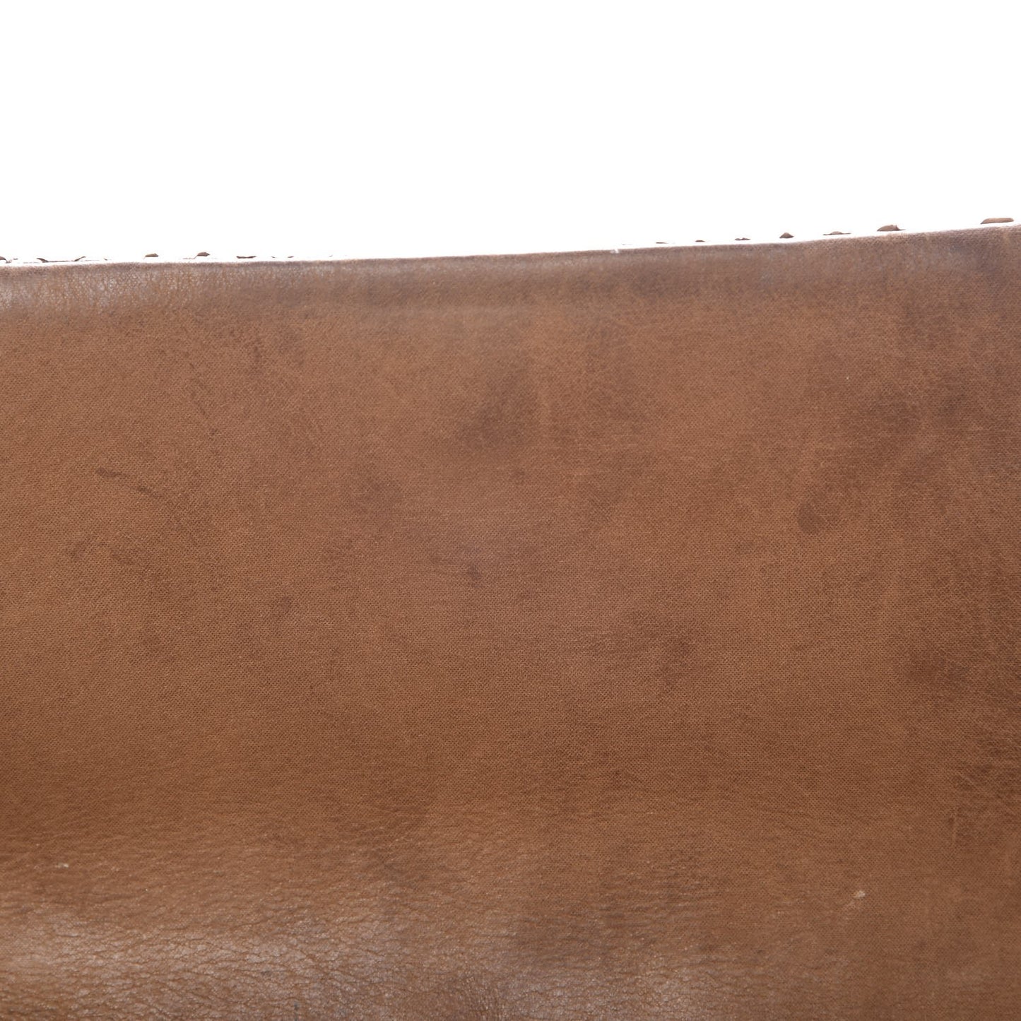 Python CC Square Flap Bronze