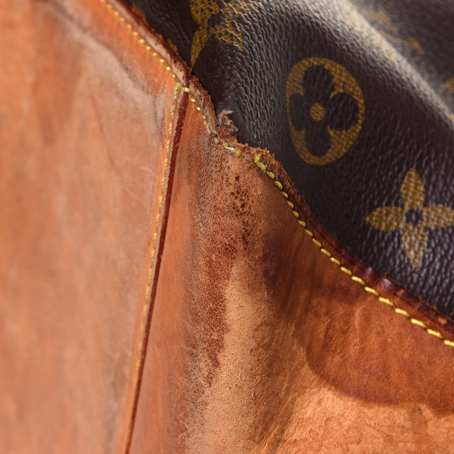 Monogram Cabas Alto