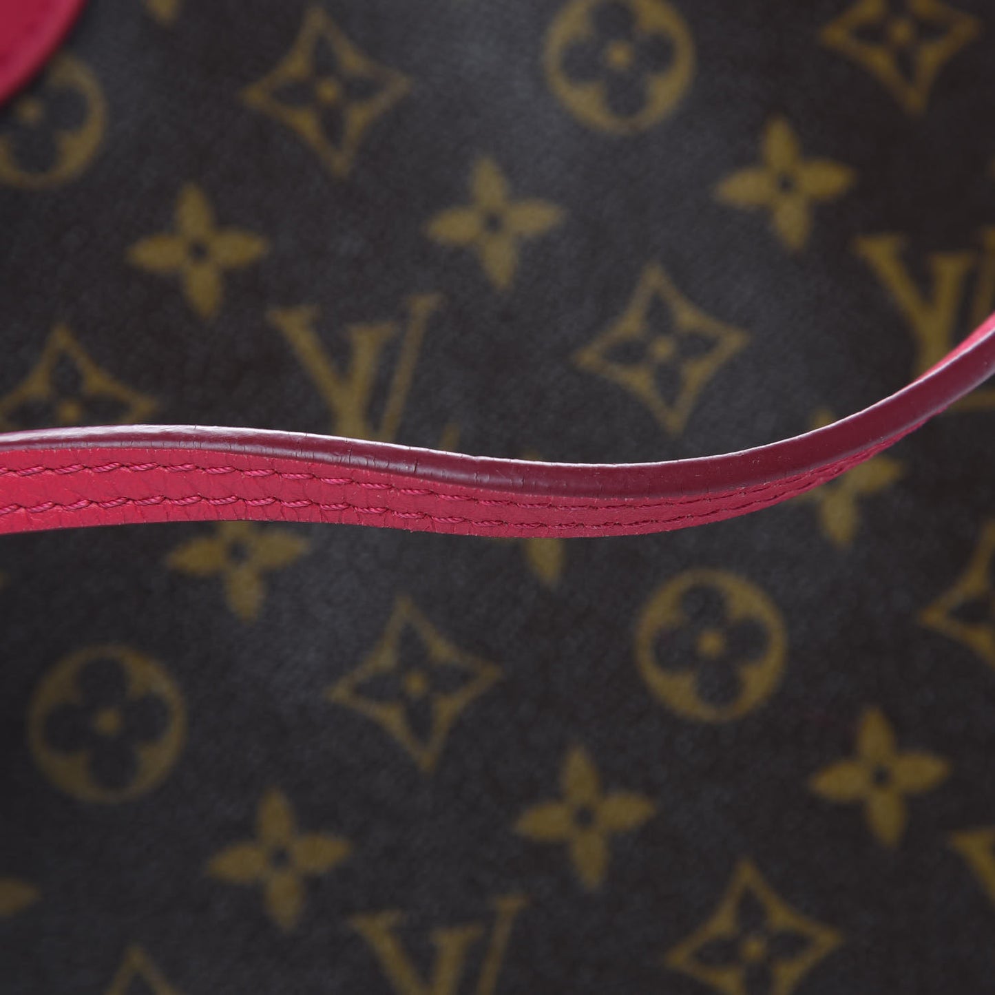 Monogram Articles de Voyage Ikat Neverfull MM Rose Indien