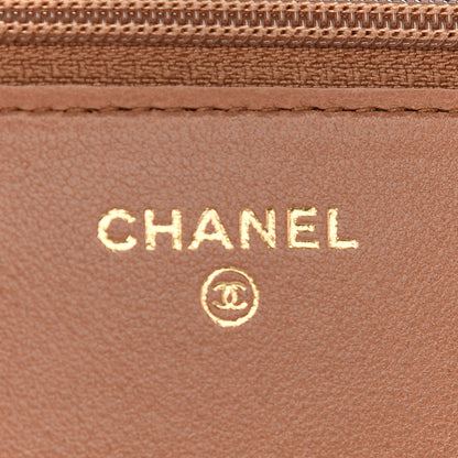 Chanel Lambskin Quilted Chanel 19 Wallet On Chain WOC Brown 6 of 11