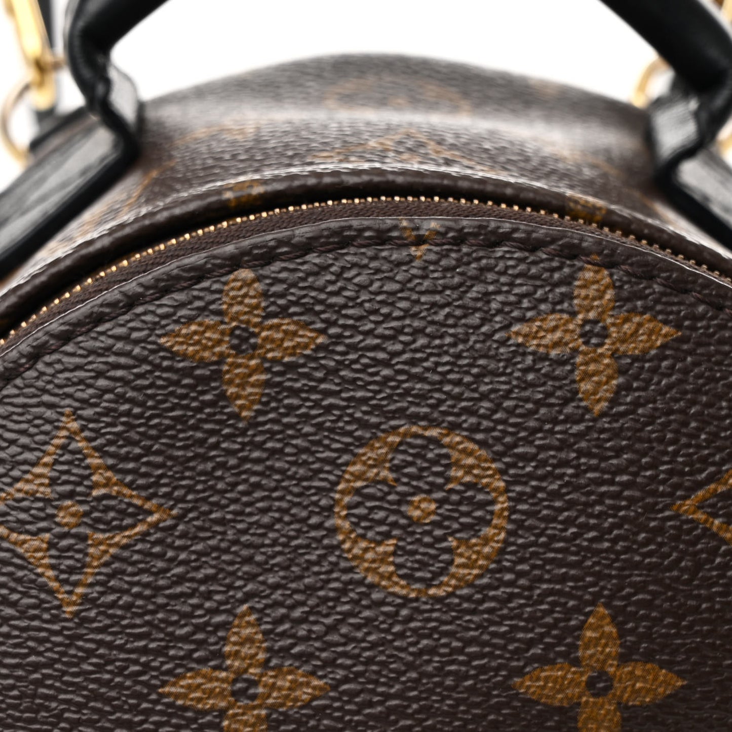 Monogram Palm Springs Backpack Mini