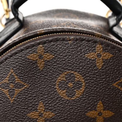 Louis Vuitton Monogram Palm Springs Backpack Mini 9 of 14