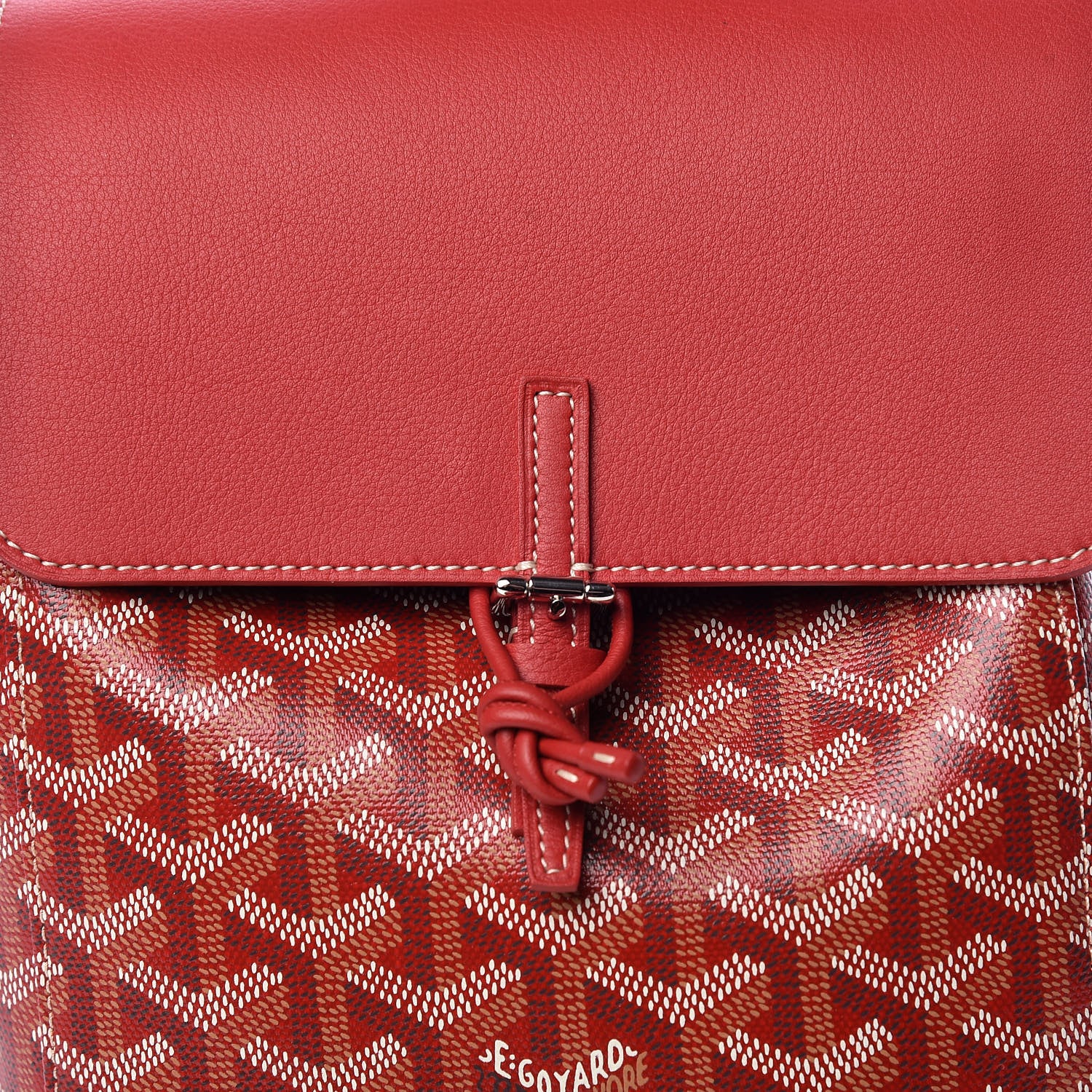 Goyard Goyardine Calfskin Mini Alpin Backpack Red 9 of 10