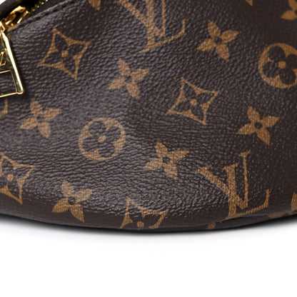 Louis Vuitton Monogram Bumbag 8 of 13