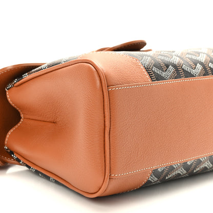 Goyard Goyardine Mini Saigon Black Gold 7 of 8