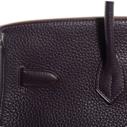 Hermes Togo Birkin 35 Raisin 24 of 34
