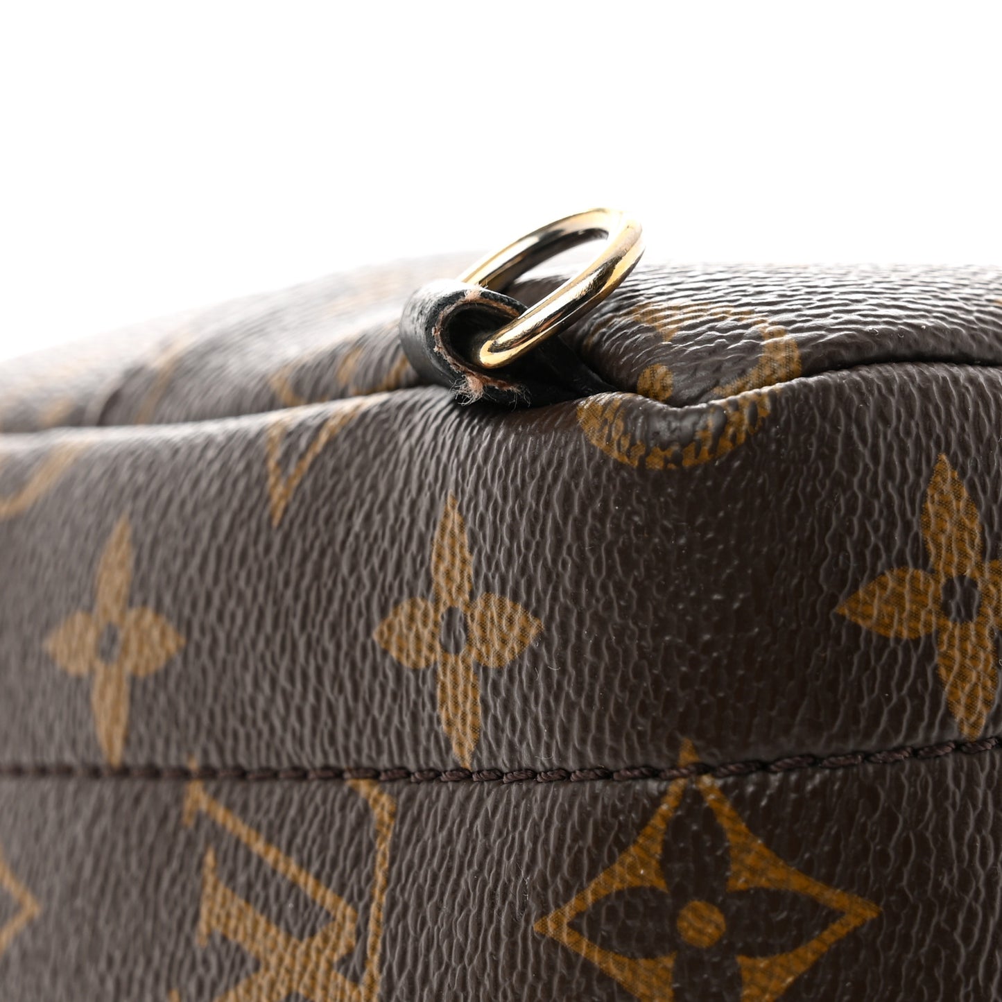 Monogram Palm Springs Backpack Mini