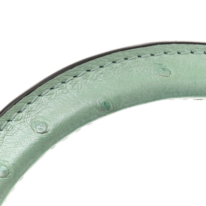Louis Vuitton Iridescent Ostrich Capucines Mini Vert d’Eau 11 of 13
