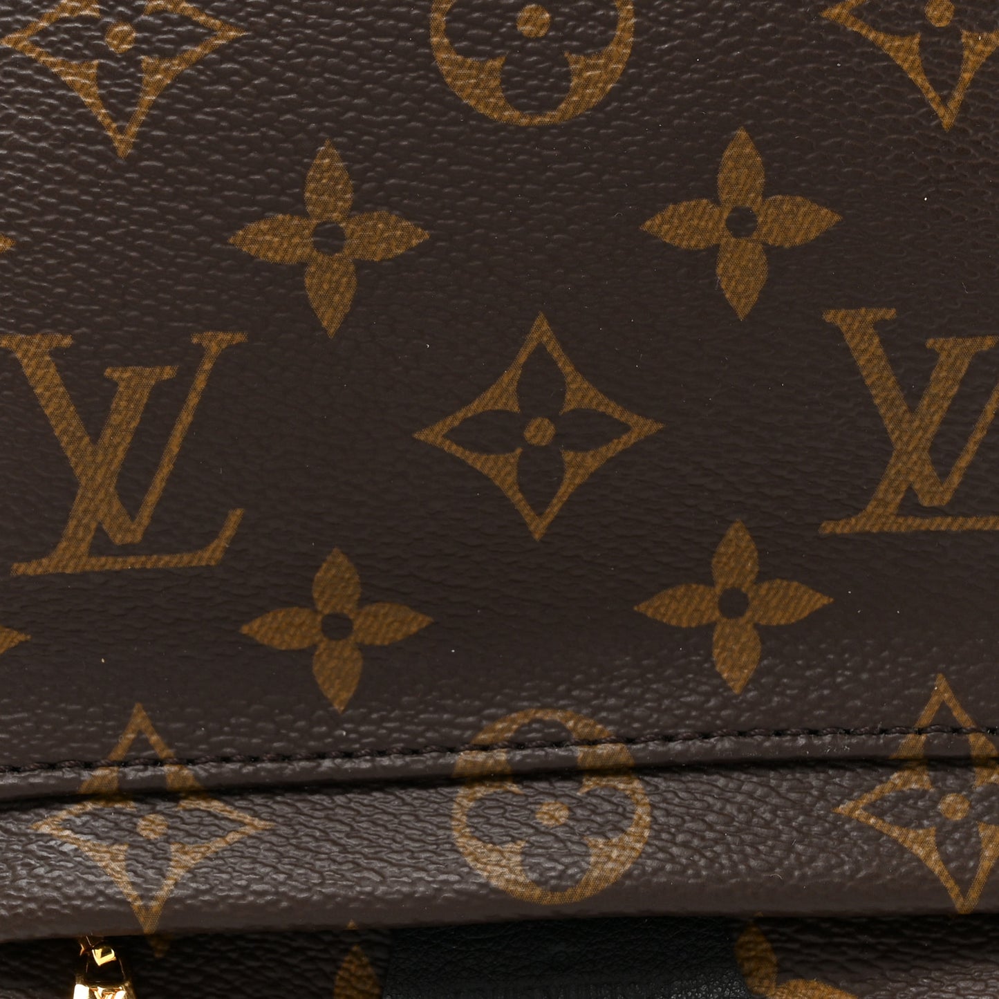 Monogram Palm Springs Backpack Mini