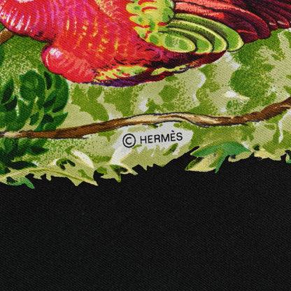 Hermes Silk Equateur Scarf 90 Black Vert Bleu 4 of 5