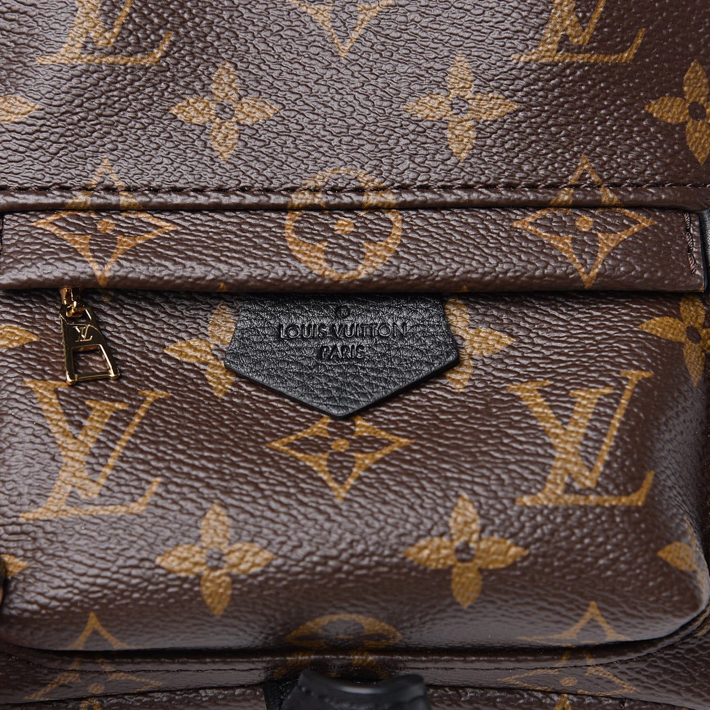Monogram Palm Springs Backpack Mini