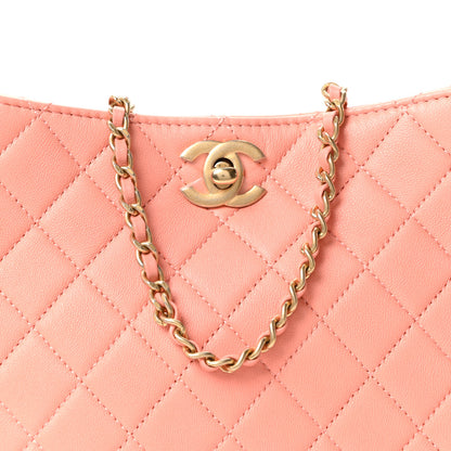 Chanel Lambskin Quilted Small Pearl Crush Hobo  Coral 8 of 10