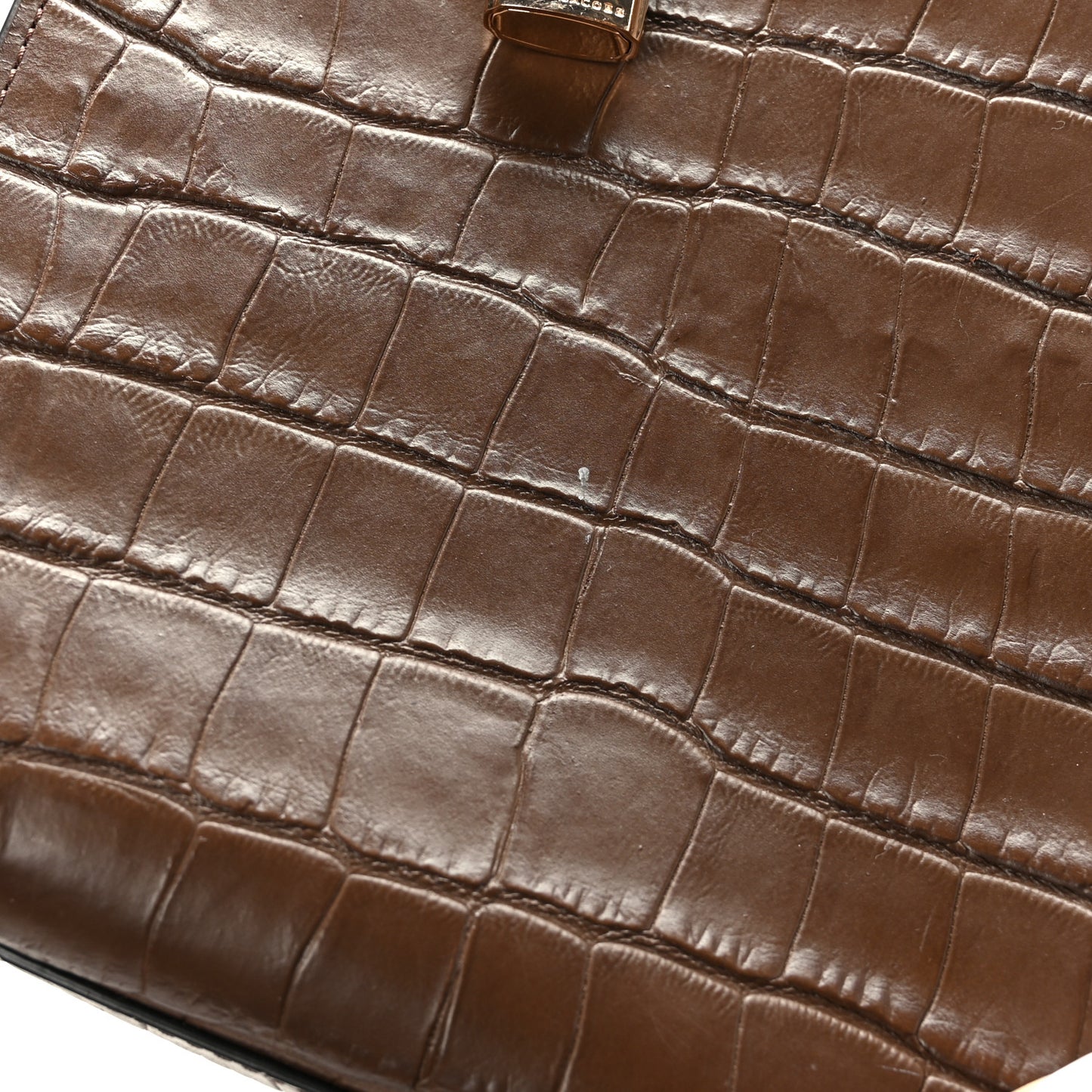 Calfskin Crocodile Embossed Mini Grind Tote Bag Dark Brown