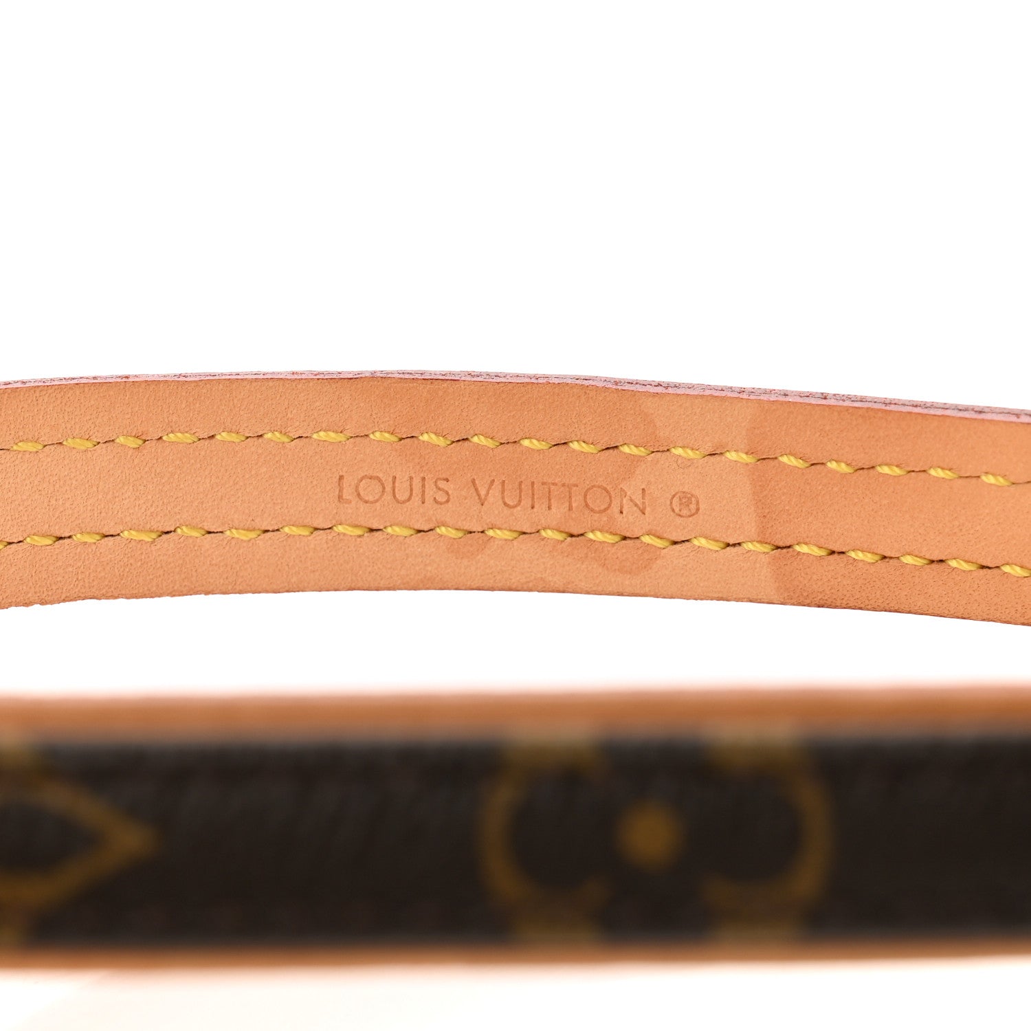 Louis Vuitton Monogram Baxter Dog Leash MM 3 of 5