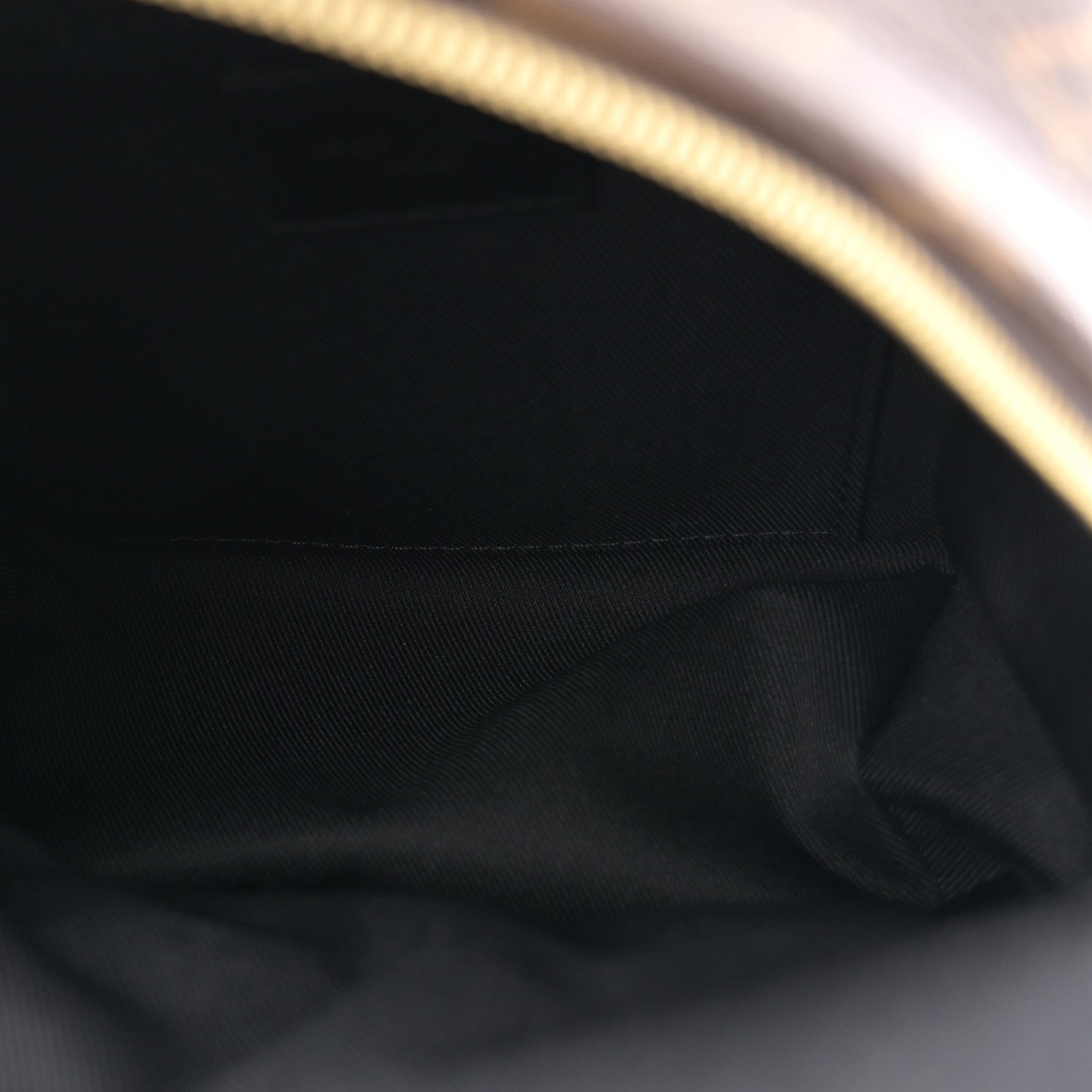 Louis Vuitton Monogram Palm Springs Backpack Mini 5 of 10