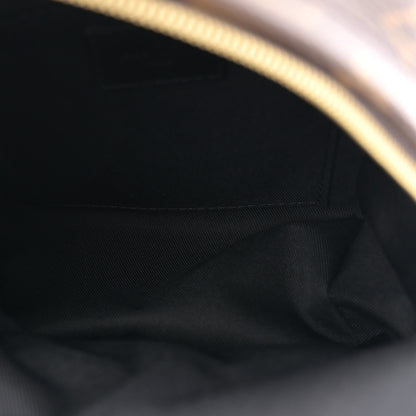 Louis Vuitton Monogram Palm Springs Backpack Mini 5 of 10