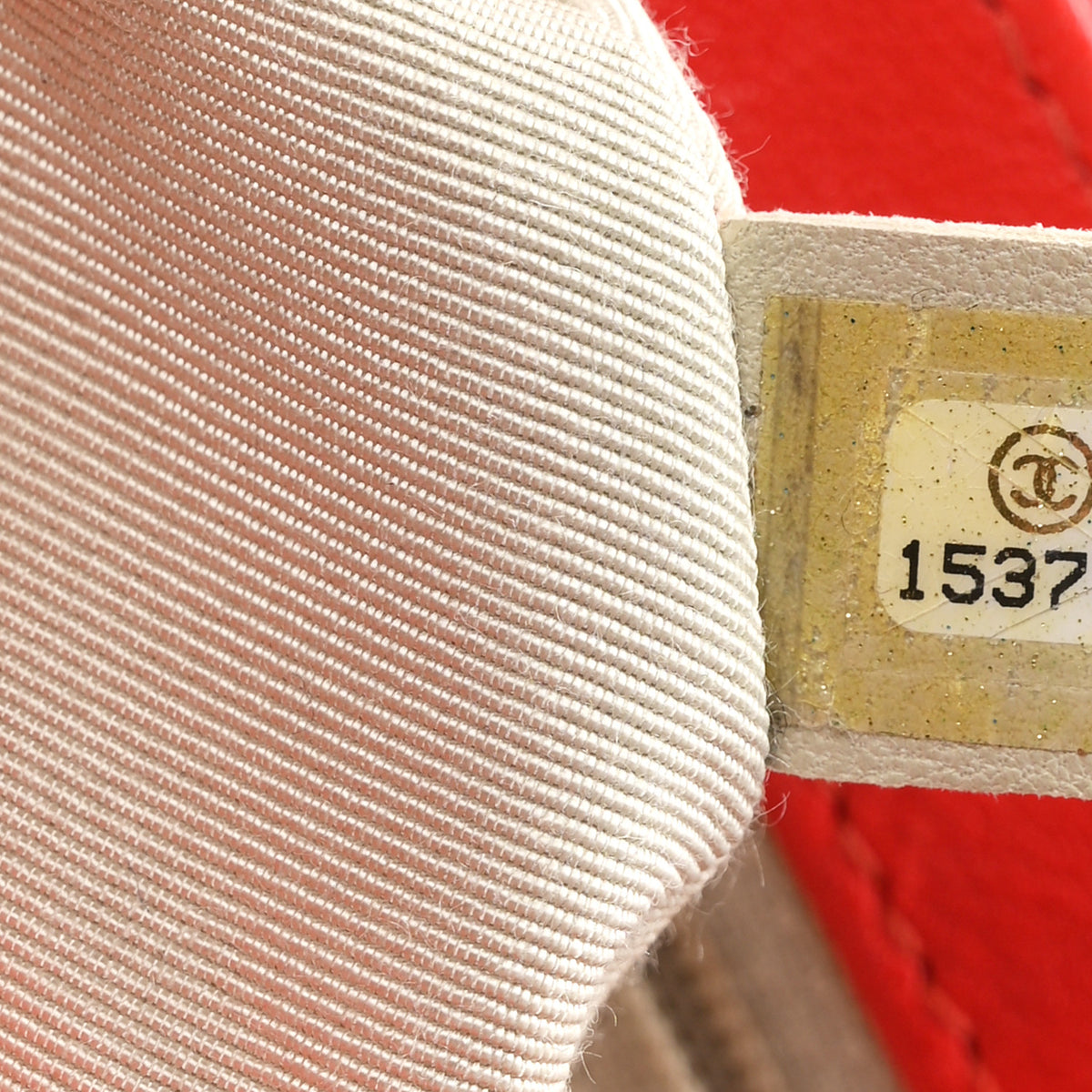 Washed Lambskin Mini Chain Around Messenger Coral
