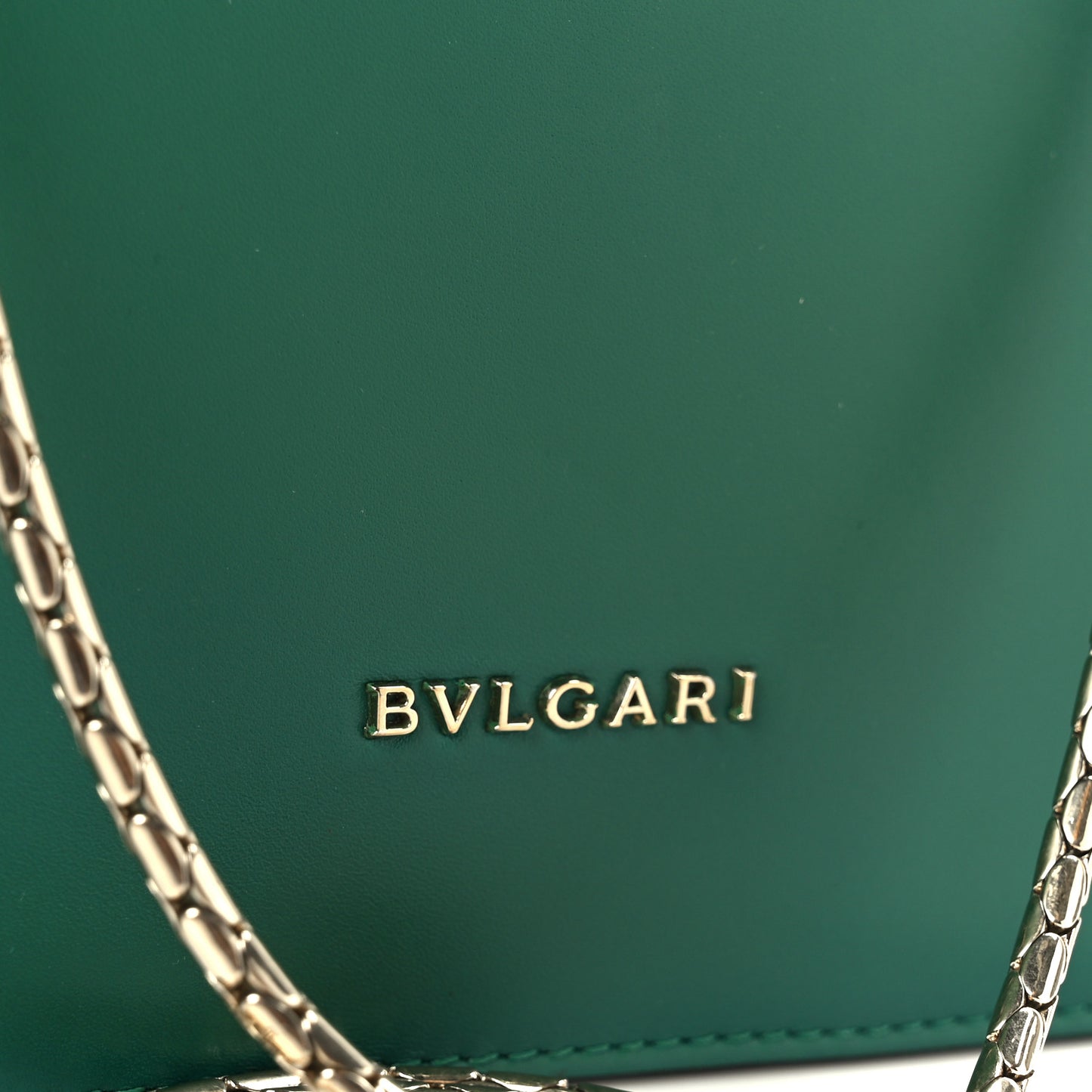 Galuchat Calfskin Serpenti Forever Crossbody Bag Green