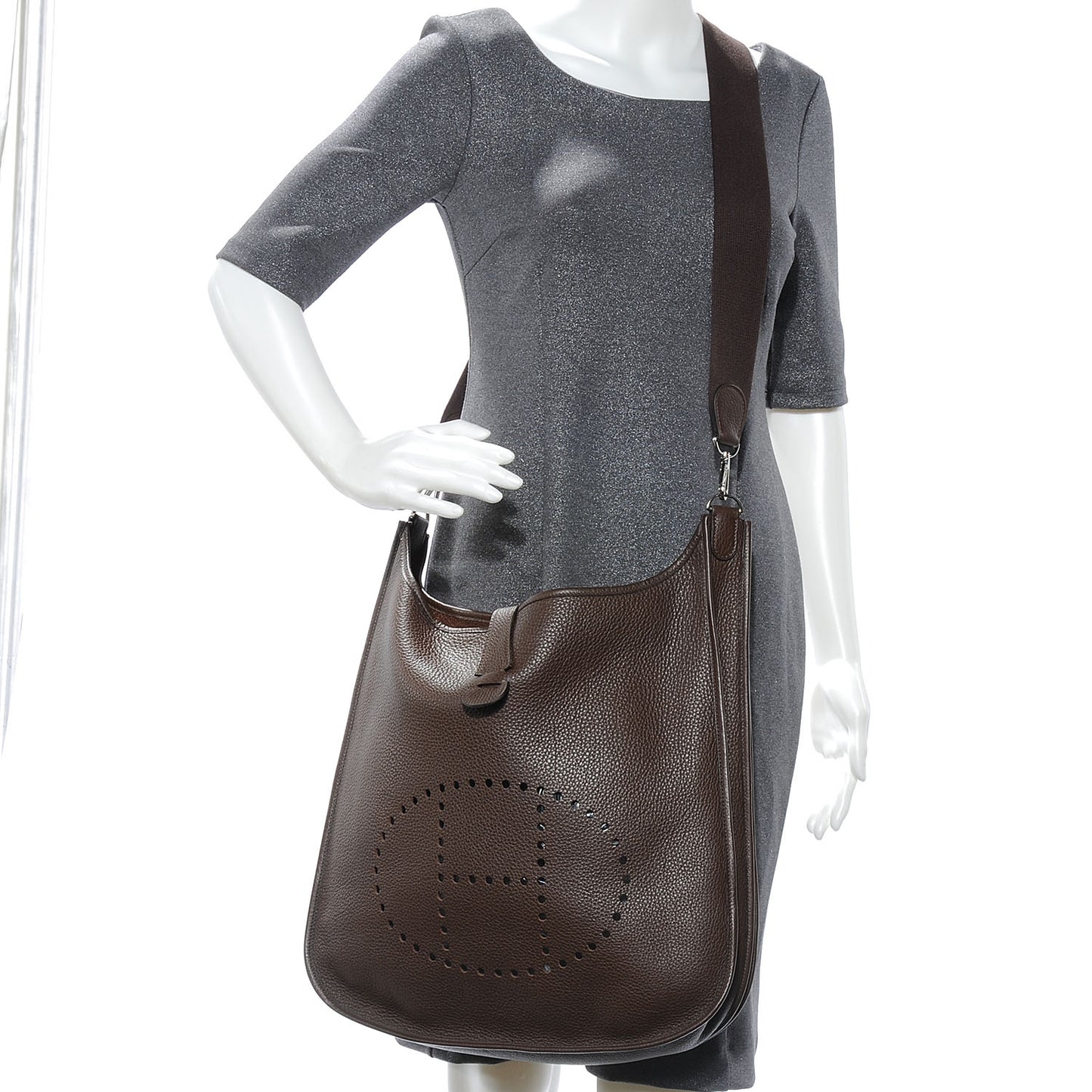 Taurillon Clemence Evelyne TGM II Chocolate