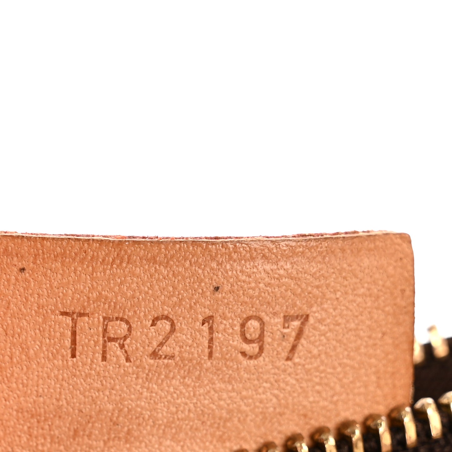 Monogram Nano Speedy