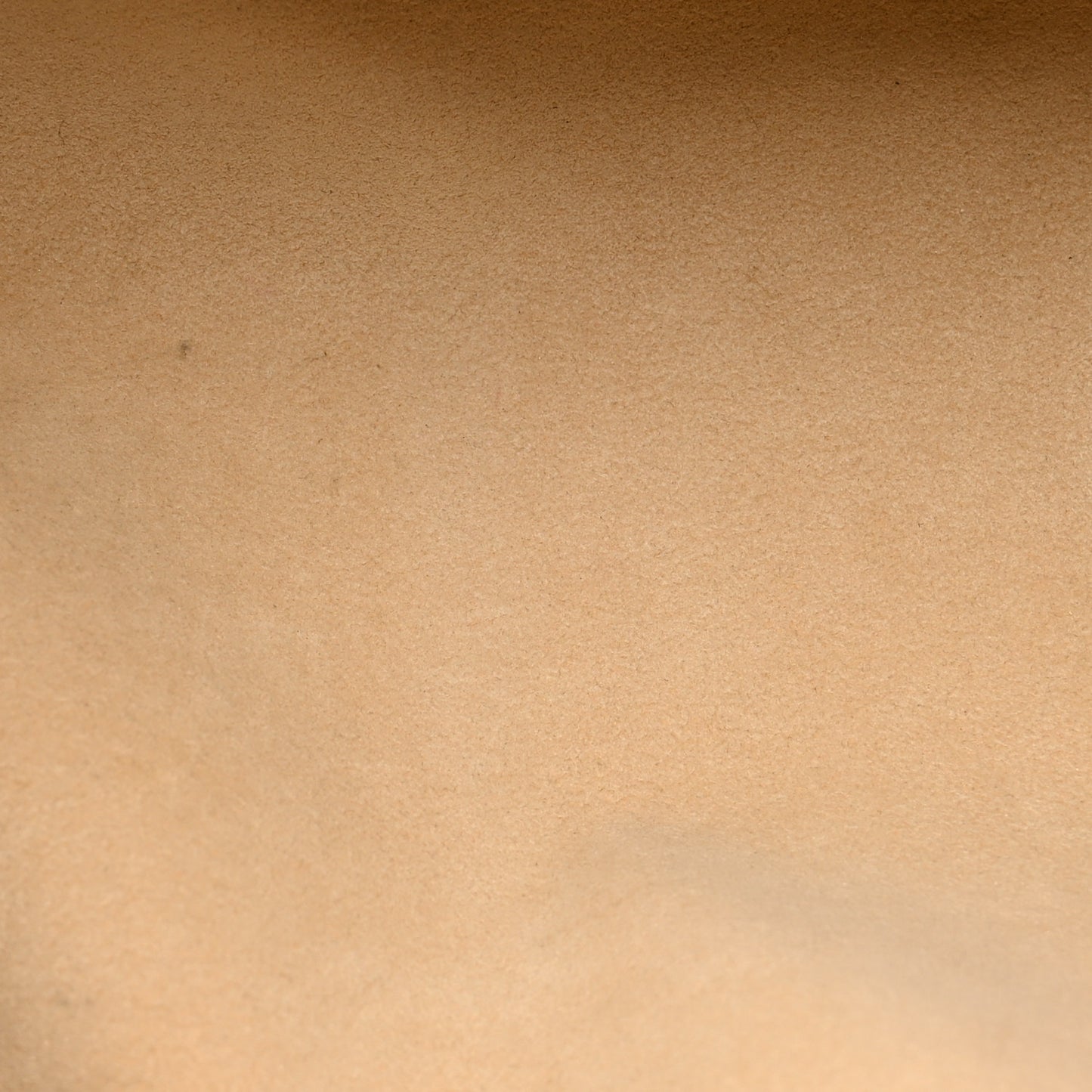 Monogram Galliera PM