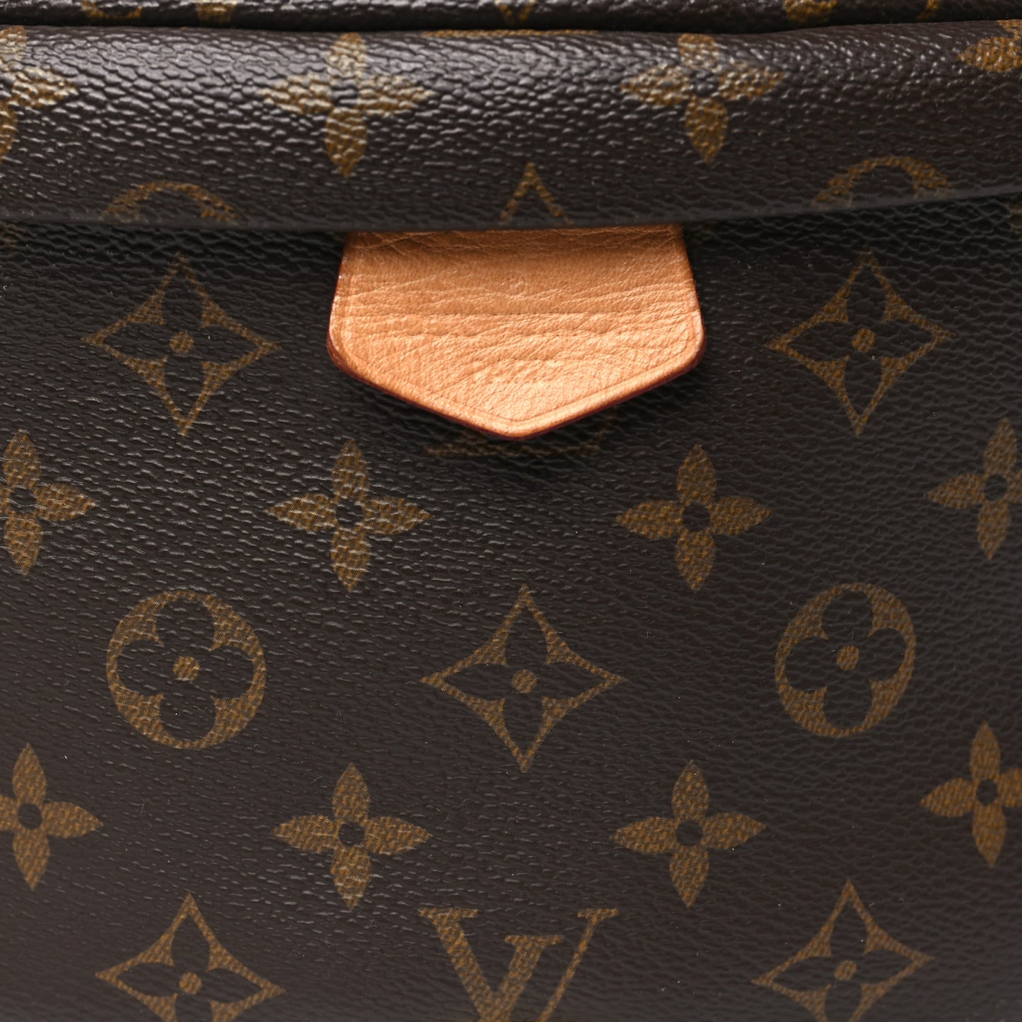 Monogram Bumbag