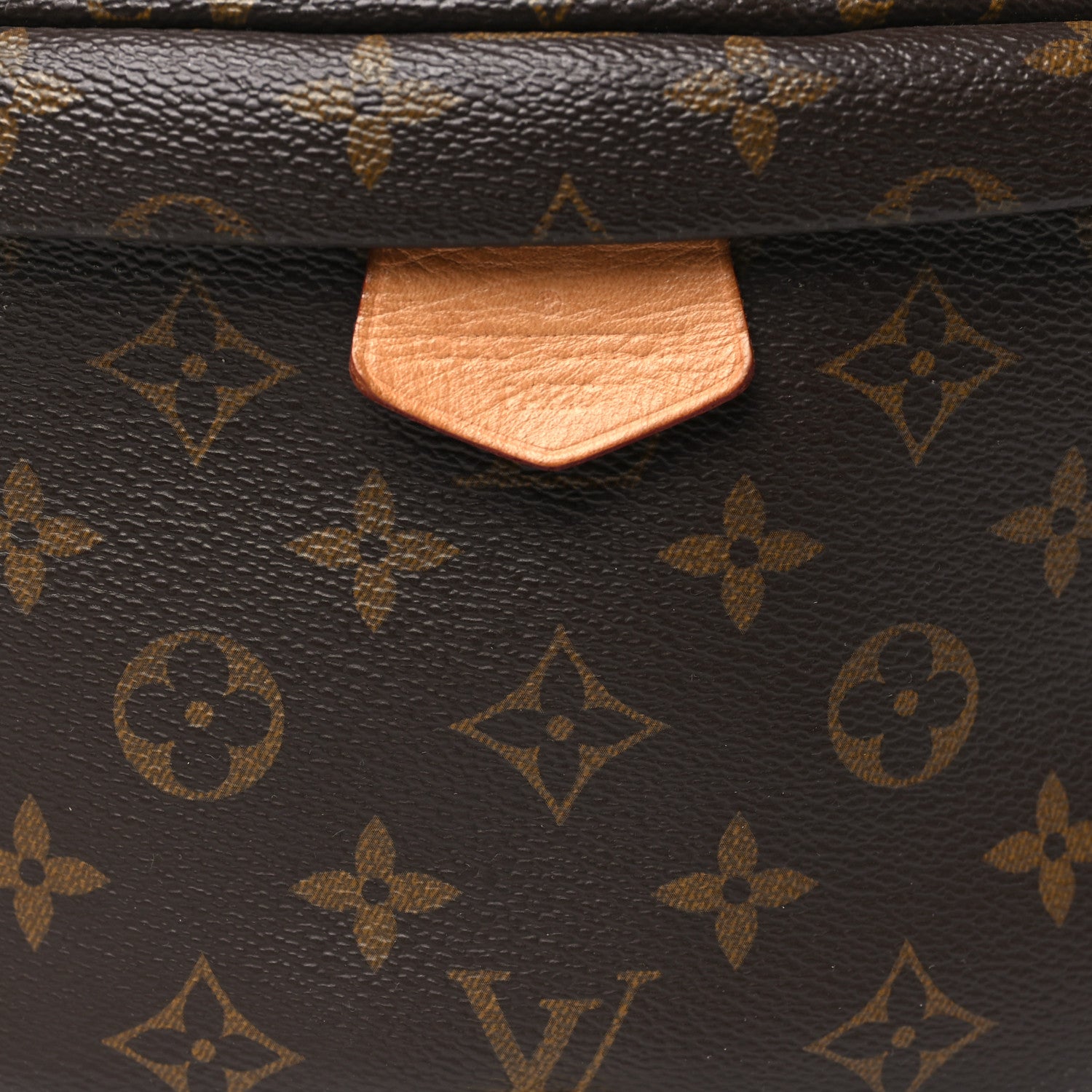 Louis Vuitton Monogram Bumbag 7 of 10