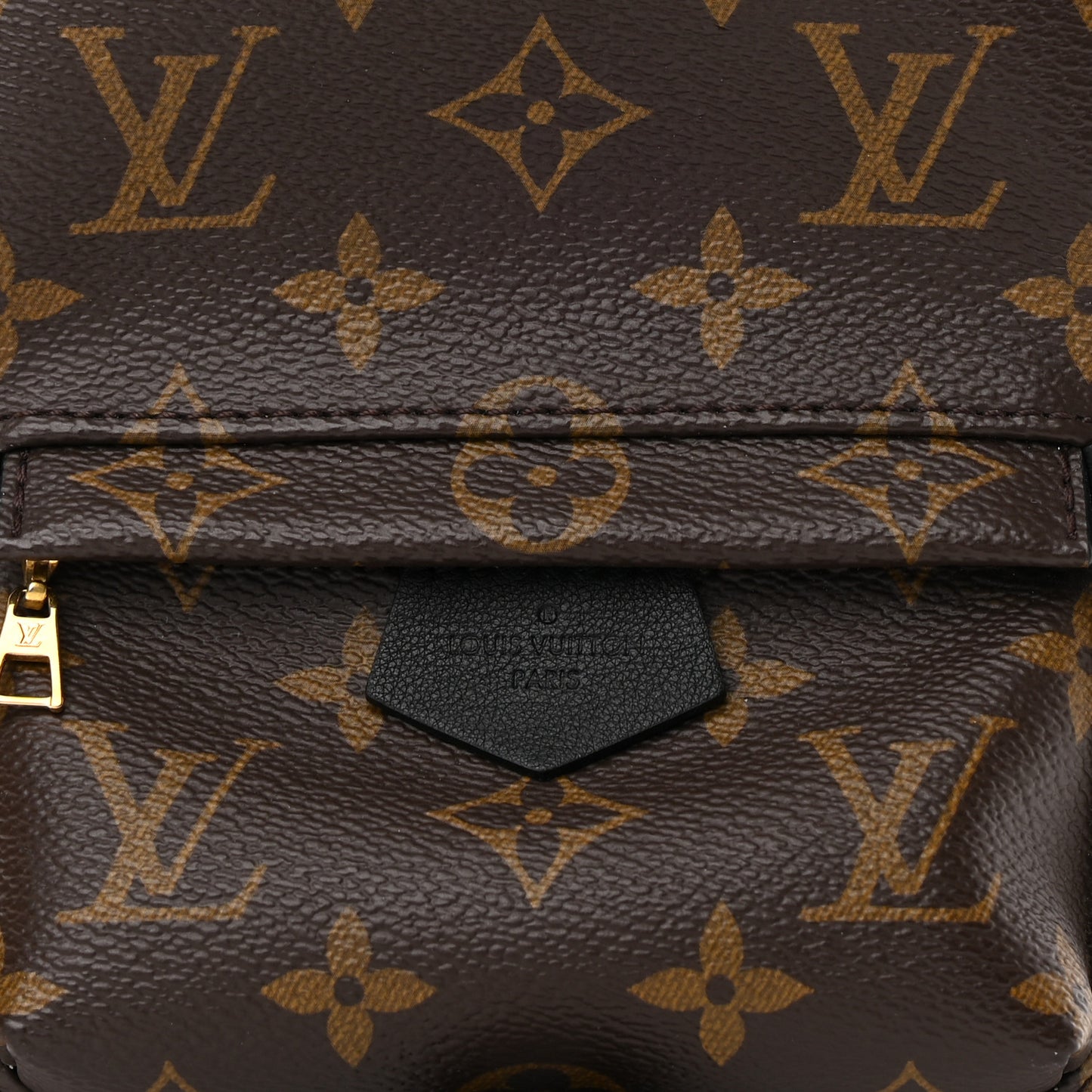 Monogram Palm Springs Backpack Mini