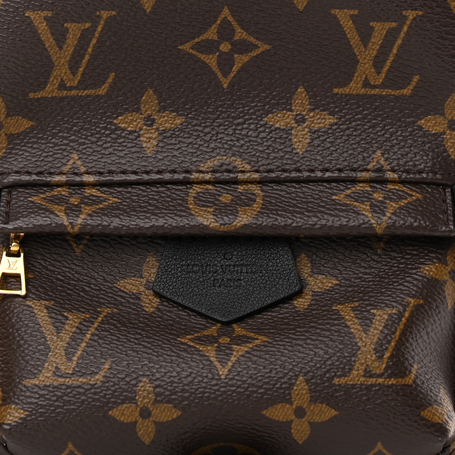 Louis Vuitton Monogram Palm Springs Backpack Mini 9 of 15