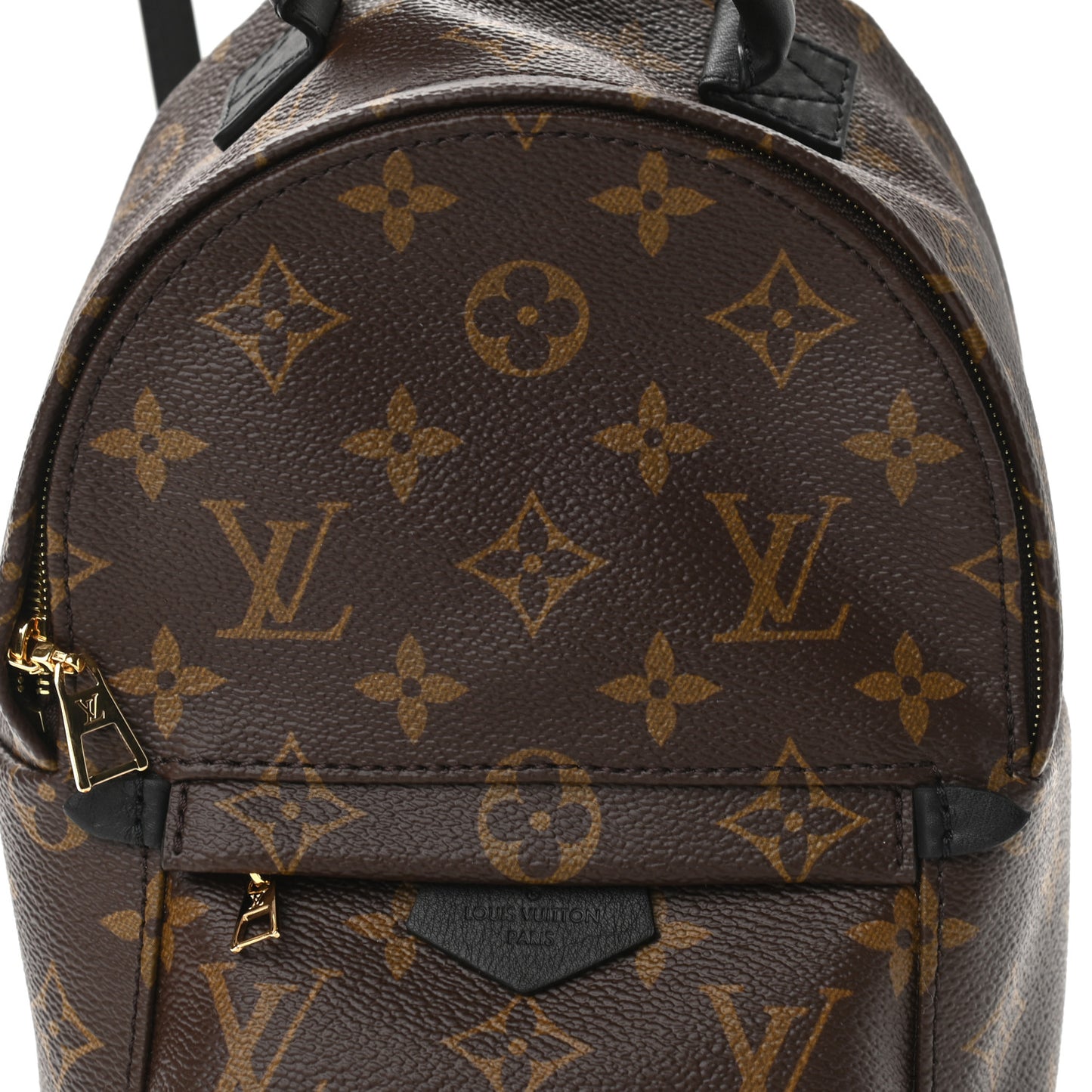Monogram Palm Springs Backpack Mini