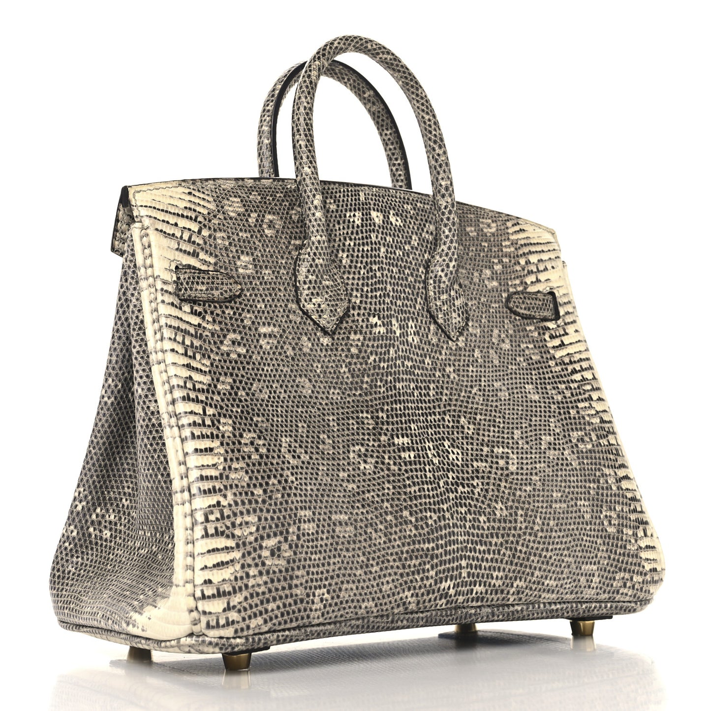 Lizard Birkin 25 Ombre