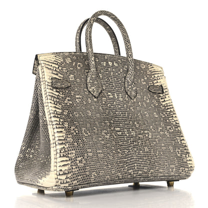 Hermes Lizard Birkin 25 Ombre 2 of 13