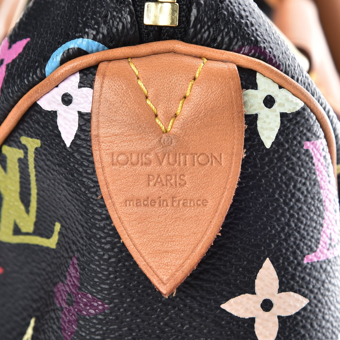 Monogram Multicolor Speedy 30 Black