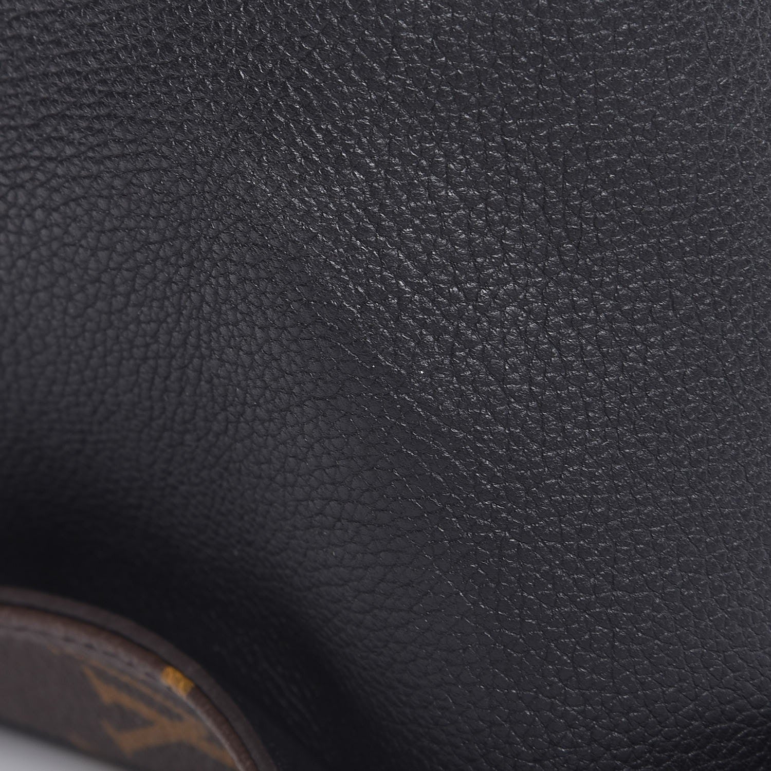 Louis Vuitton Monogram Gaia Black 8 of 8