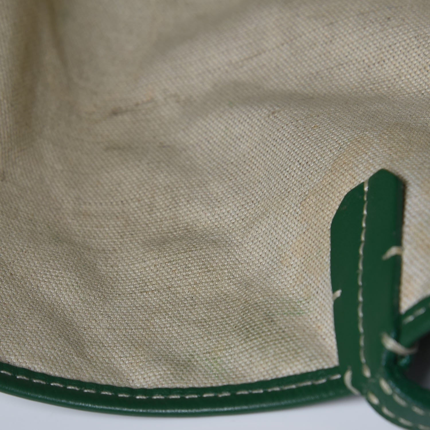 Goyard Goyardine Saint Louis PM Green 10 of 16
