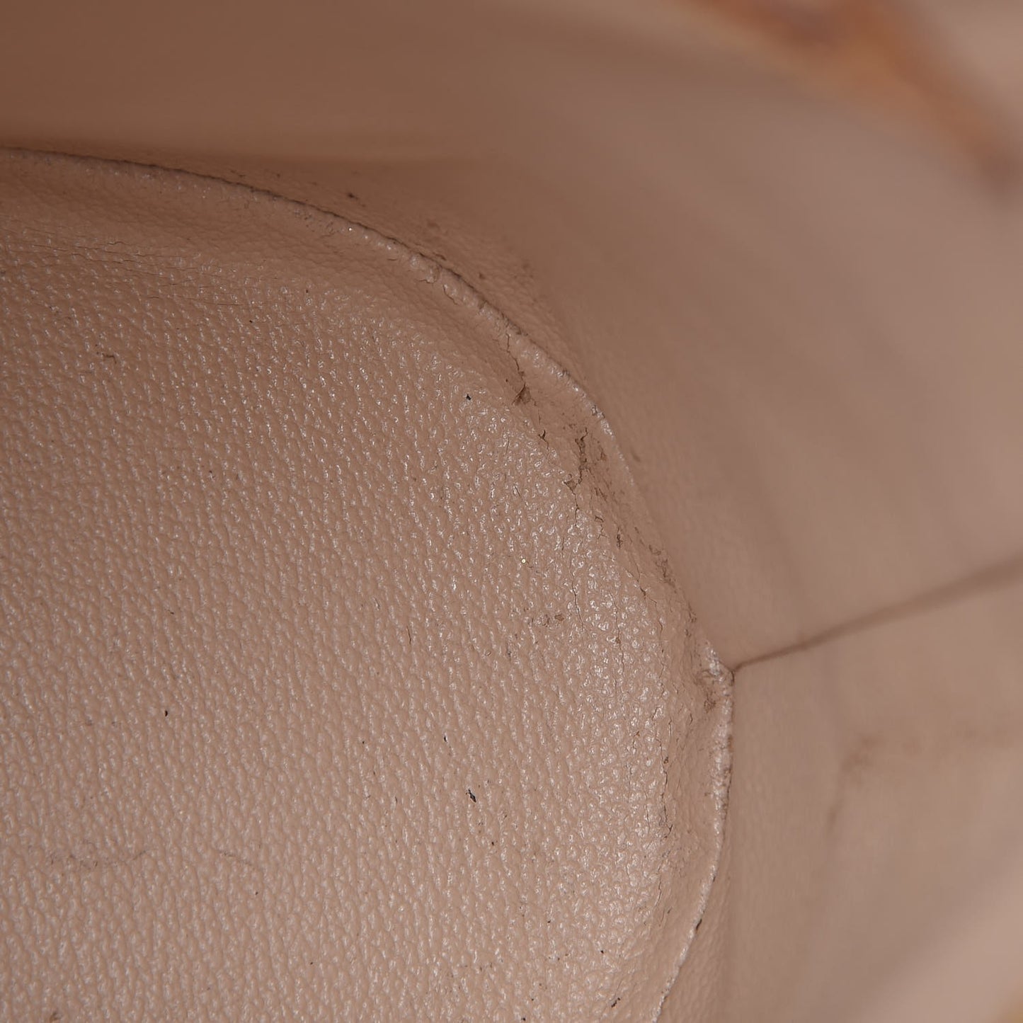 Monogram Petit Bucket 23