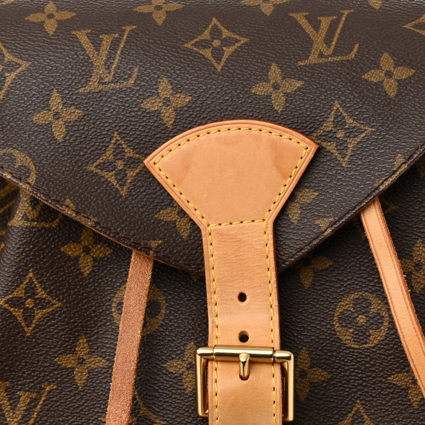 Monogram Montsouris GM Backpack