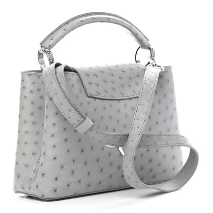 Louis Vuitton Ostrich Capucines BB Gris 3 of 10