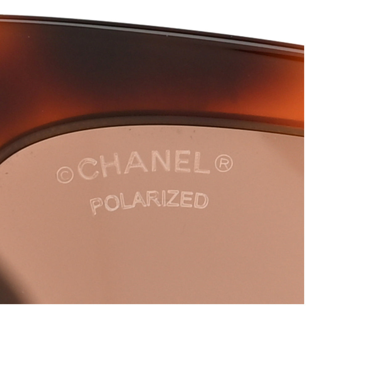 Square Polarized CC Sunglasses 5494-A Tortoise Brown