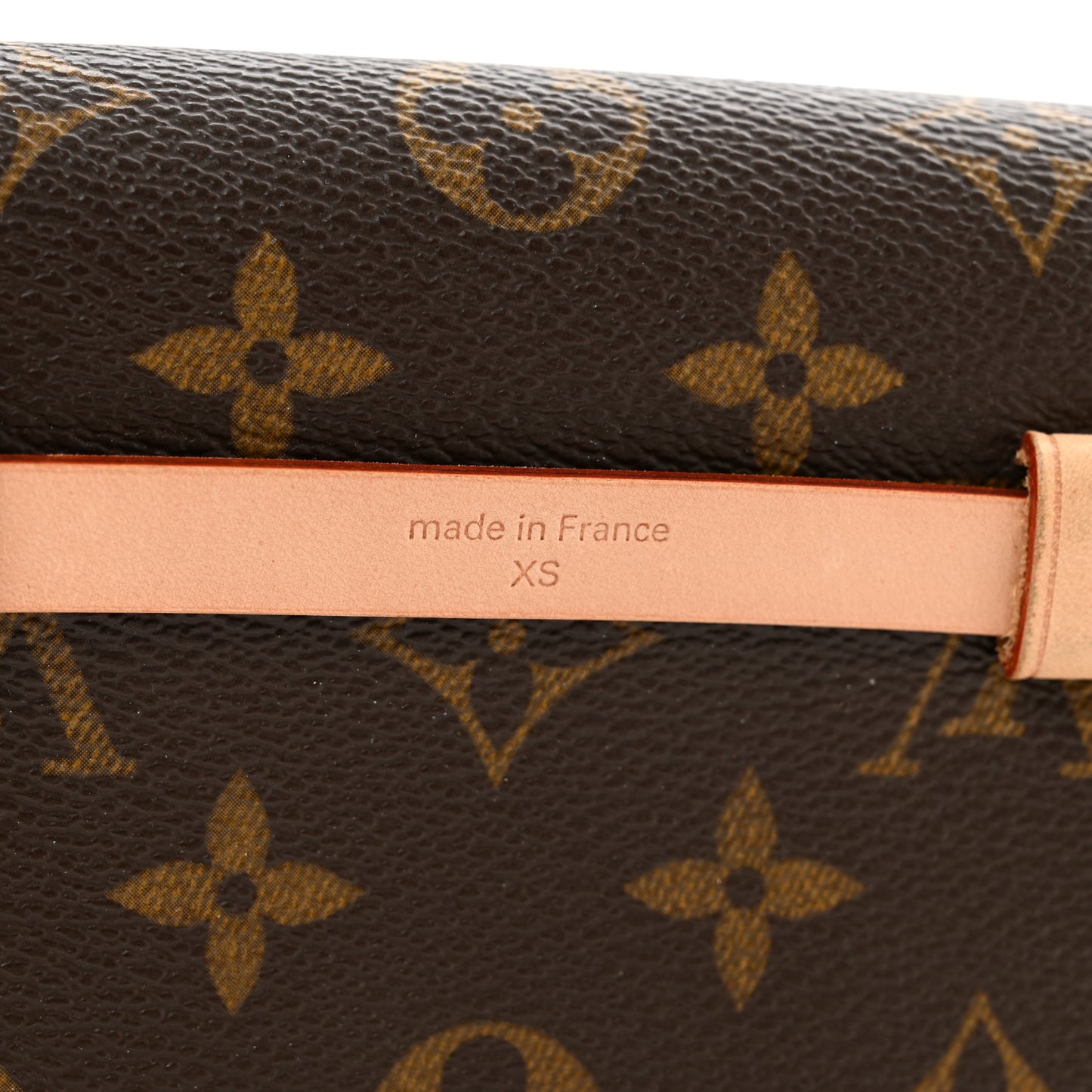 Monogram Pochette Florentine XS