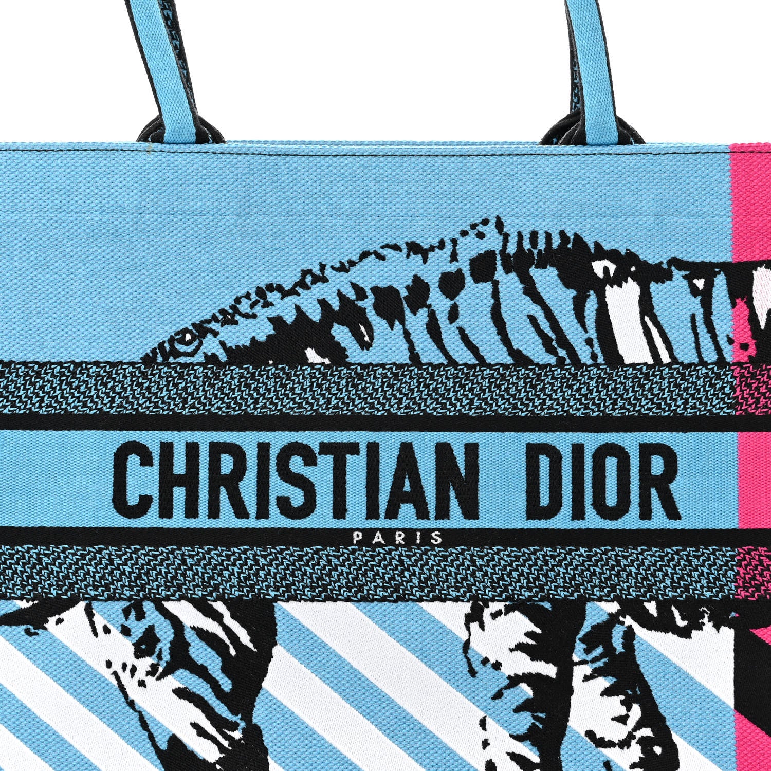 Christian Dior Canvas Embroidered Medium Jungle Pop Book Tote Blue 8 of 11