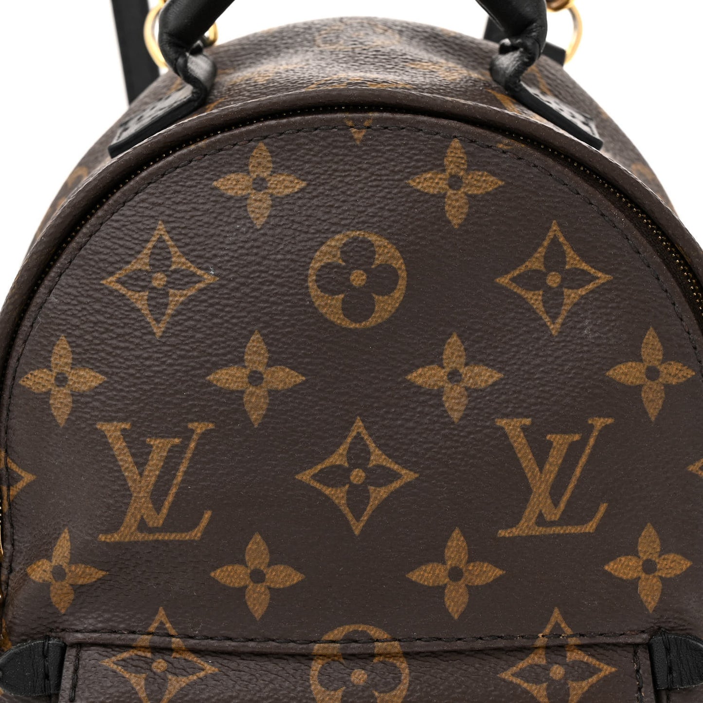 Monogram Palm Springs Backpack Mini