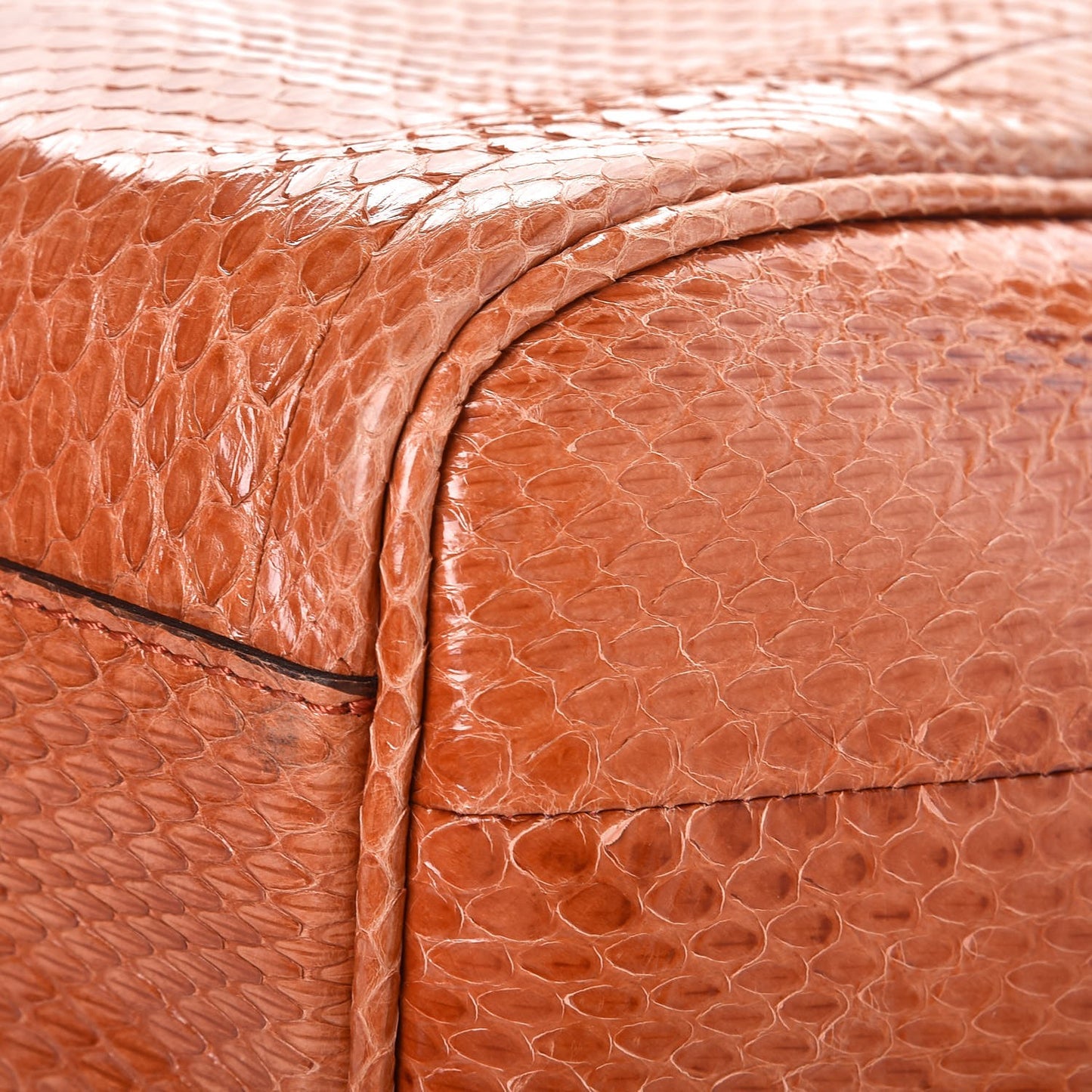 Watersnake Small Canterbury Tote Bright Tortoise