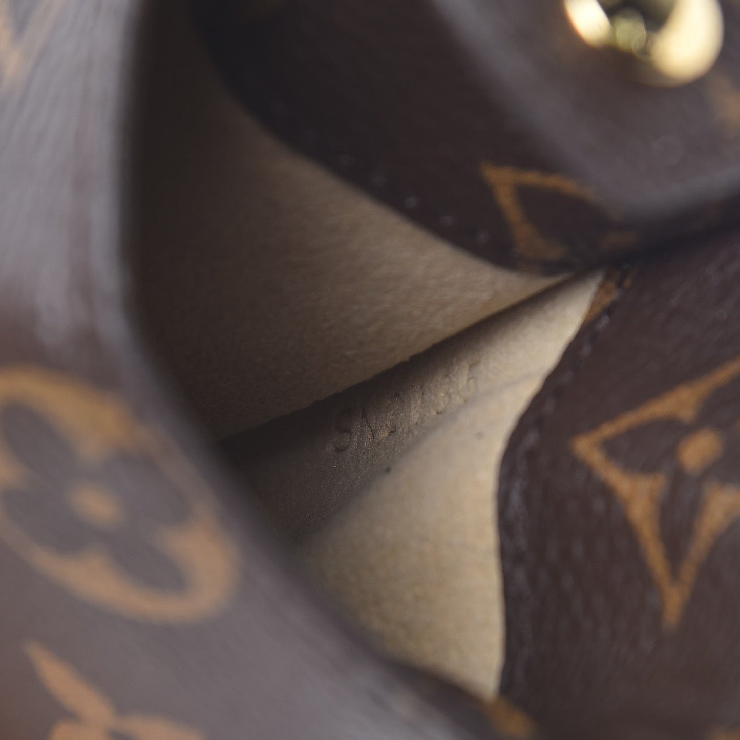 Monogram Sunglasses Case MM