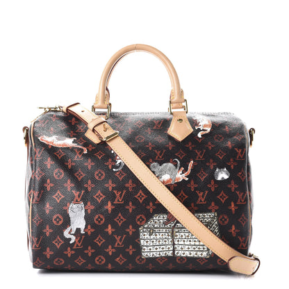 Louis Vuitton Catogram Speedy Bandouliere 30 Marron 1 of 10